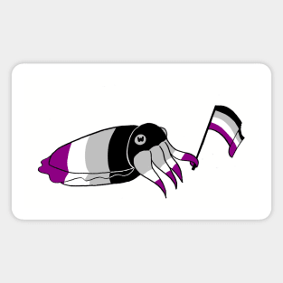 Cuttlefish Pride - Asexual Variant Magnet